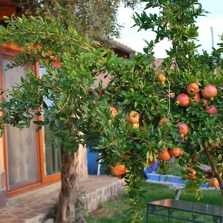 Panoramic Of Charm And Relaxation. Bed & Breakfast *