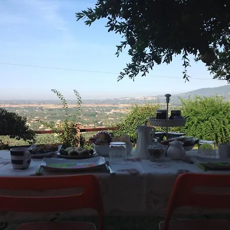 Bed & Breakfast Panoramic Of Charm And Relaxation. *